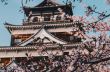 Величието на Япония по време на цъфтежа на вишните